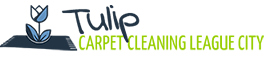 carpetcleaningleaguecitytx.com